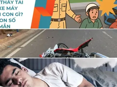 Chiêm Bao Thấy Tôm Nhảy Tanh Tách Hoặc Tôm Chết Có Ý Nghĩa Gì? Chiêm Bao Thấy Tôm Nhảy Tanh Tách Hoặc Tôm Chết Có Ý Nghĩa Gì?