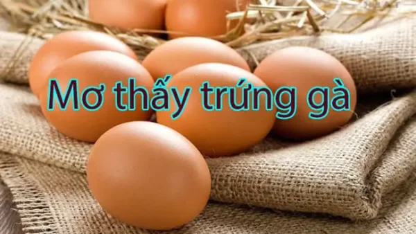Giải Mã Giấc Mơ Nằm Mơ Nhặt Được Nhiều Trứng Đánh Con Gì Mang Lại Tài Lộc?