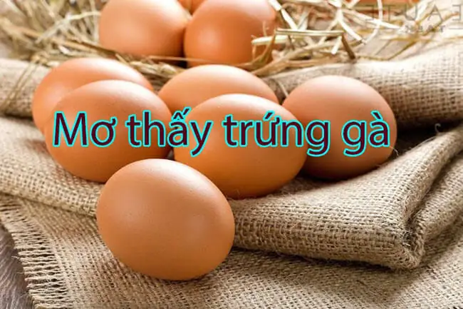 Giải Mã Giấc Mơ Nằm Mơ Nhặt Được Nhiều Trứng Đánh Con Gì Mang Lại Tài Lộc?