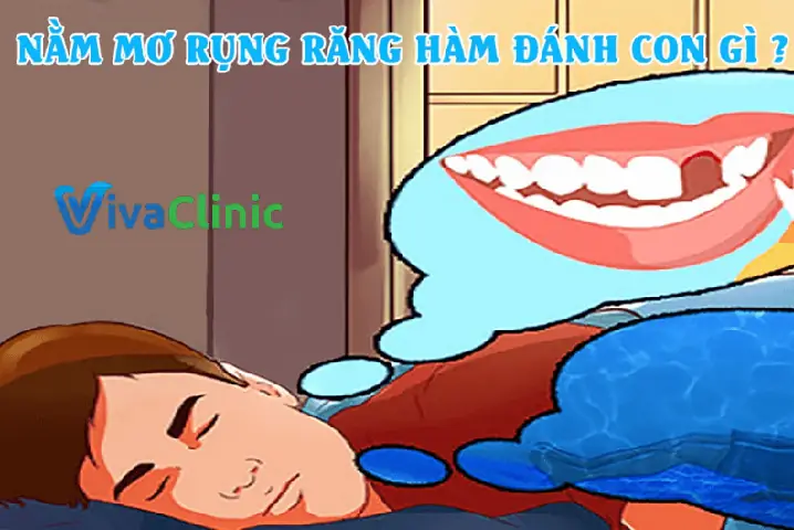 Giấc Mơ Rụng Răng Mang Lại Con Số May Mắn Tài Lộc Giấc Mơ Rụng Răng Mang Lại Con Số May Mắn Tài Lộc