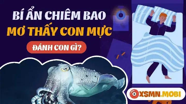 Có Nên Kết Hợp Giấc Mơ Ăn Mực Với Các Phương Pháp Soi Cầu Khác Không?
