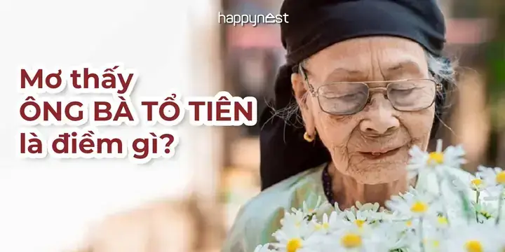 Nằm Mơ Thấy Bà Ngoại Đánh Đề Số Mấy? Giải Mã Điềm Báo Và Con Số May Mắn