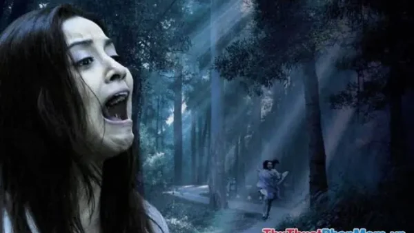 Nằm Mơ Thấy Bãi Tha Ma Đánh Số Gì? Giải Mã Ý Nghĩa Và Con Số May Mắn Tài Lộc