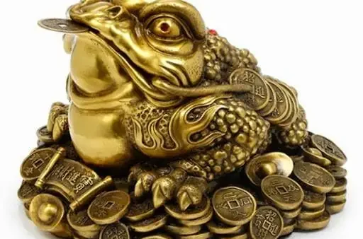 Nằm Mơ Thấy Bắt Con Cóc Đánh Số Gì? Giải Mã Điềm Báo Và Con Số May Mắn Chuẩn Nhất