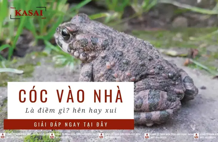 Nằm Mơ Thấy Bắt Con Cóc Đánh Số Gì? Giải Mã Điềm Báo Và Con Số May Mắn Chuẩn Nhất Nằm Mơ Thấy Bắt Con Cóc Đánh Số Gì? Giải Mã Điềm Báo Và Con Số May Mắn Chuẩn Nhất