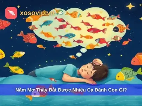 Cần Làm Gì Sau Khi Tỉnh Giấc Từ Giấc Mơ Bắt Được Nhiều Ếch? Cần Làm Gì Sau Khi Tỉnh Giấc Từ Giấc Mơ Bắt Được Nhiều Ếch?