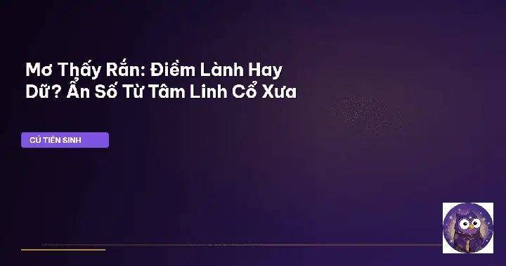 Ý Nghĩa Giấc Mơ Bắt Được Rắn Dưới Góc Độ Tâm Lý Học Tiềm Thức Ý Nghĩa Giấc Mơ Bắt Được Rắn Dưới Góc Độ Tâm Lý Học Tiềm Thức