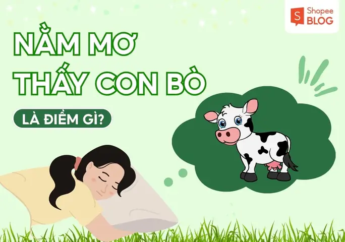 Nằm Mơ Thấy Bò Rượt Đuổi Đánh Đề Số May Gì? Giải Mã Ý Nghĩa Chi Tiết