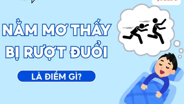 Nằm Mơ Thấy Bò Rượt Đuổi Đánh Đề Số May Gì? Giải Mã Ý Nghĩa Chi Tiết