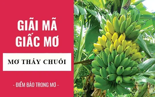 Nằm Mơ Thấy Buồng Chuối Chín Là Điềm Gì? Giải Mã Ý Nghĩa Và Đánh Con Số Mấy May Mắn?