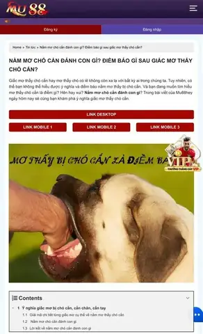 Điềm Báo Từ Giấc Mơ Cá Cắn Tay Đối Với Các Mối Quan Hệ Xã Hội