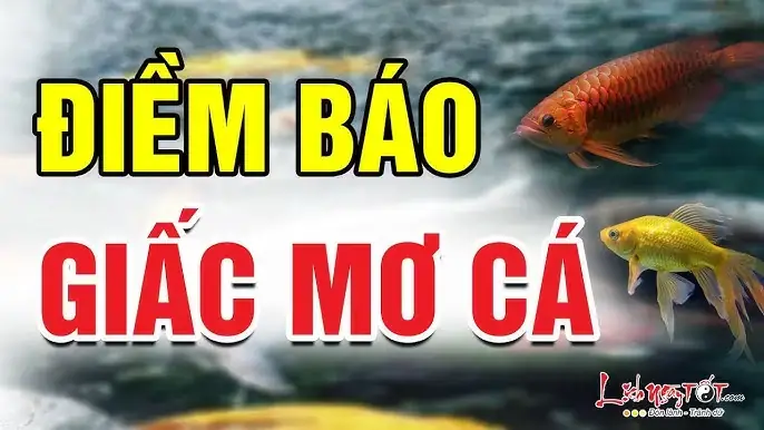 Ý Nghĩa Giấc Mơ Thay Đổi Thế Nào Khi Cá Cắn Tay Nhưng Không Bị Thương?