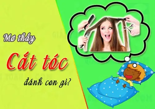 Mơ Thấy Tự Cắt Tóc Cho Mình Đánh Con Gì?