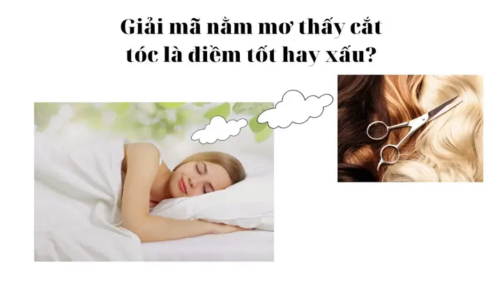 Nằm Mơ Thấy Cắt Tóc Là Điềm Báo Tốt Hay Xấu Trong Phong Thủy?