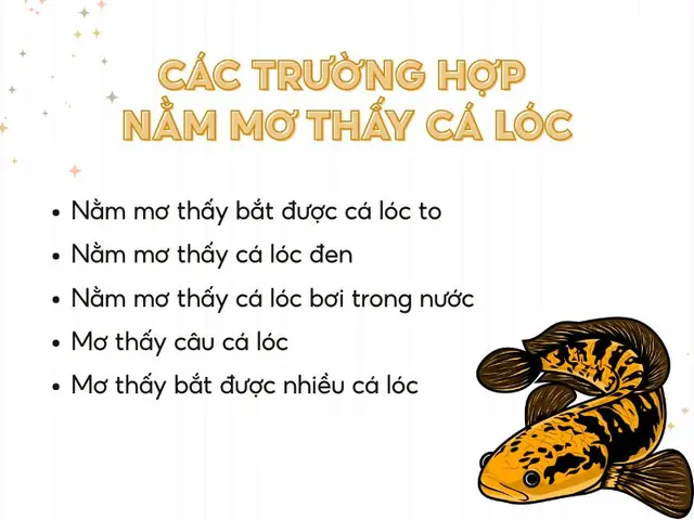 Nằm Mơ Thấy Câu Được Nhiều Cá Đánh Con Gì? Giải Mã Điềm Báo Và Con Số May Mắn Nằm Mơ Thấy Câu Được Nhiều Cá Đánh Con Gì? Giải Mã Điềm Báo Và Con Số May Mắn