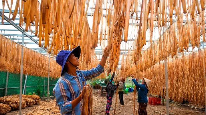 Có Nên Hoàn Toàn Dựa Vào Giấc Mơ Để Đánh Đề Hay Không? Có Nên Hoàn Toàn Dựa Vào Giấc Mơ Để Đánh Đề Hay Không?