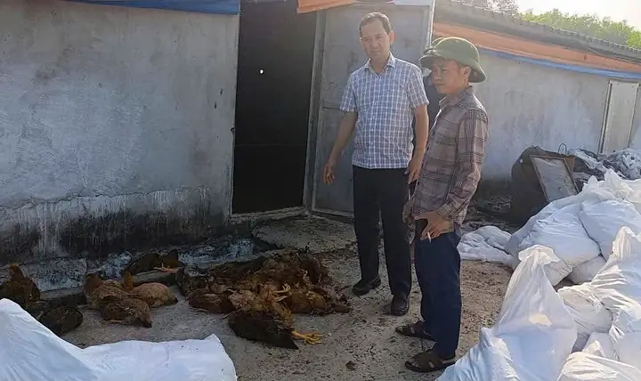 Nằm Mơ Thấy Chập Điện Đánh Đề Con Gì Chuẩn Nhất? Nằm Mơ Thấy Chập Điện Đánh Đề Con Gì Chuẩn Nhất?