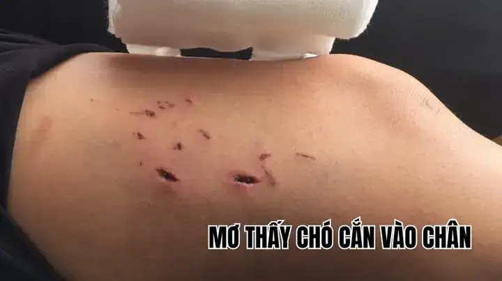 Các Biện Pháp Phong Thủy Hoặc Tinh Thần Giúp Tâm Lý An Yên Hơn Các Biện Pháp Phong Thủy Hoặc Tinh Thần Giúp Tâm Lý An Yên Hơn