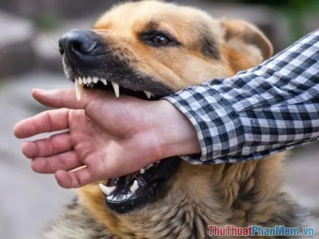 Làm Thế Nào Để Giải Mã Chính Xác Các Con Số Khi Nhớ Không Trọn Vẹn Giấc Mơ? Làm Thế Nào Để Giải Mã Chính Xác Các Con Số Khi Nhớ Không Trọn Vẹn Giấc Mơ?