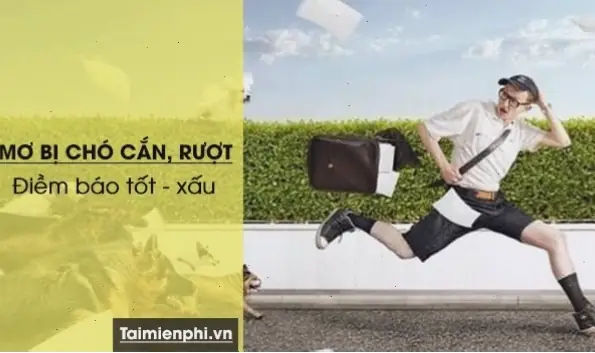 Giải Mã Chi Tiết Các Tình Huống Mơ Thấy Chó Đuổi Theo Mình