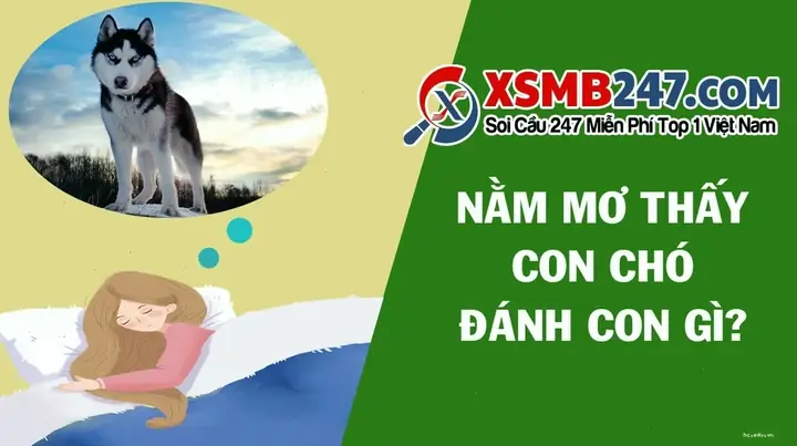 Con Số May Mắn Khi Mơ Thấy Chó Quấn Quýt Chung Chung Con Số May Mắn Khi Mơ Thấy Chó Quấn Quýt Chung Chung