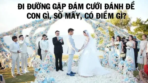 Nằm Mơ Thấy Chụp Ảnh Cưới Đánh Số Gì? Giải Mã Chiêm Bao Và Con Số May Mắn