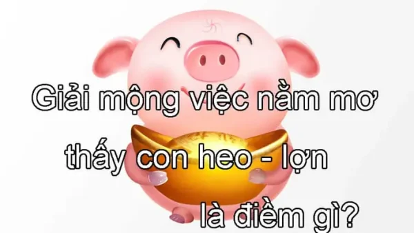 Nằm Mơ Thấy Đàn Lợn Con Đánh Đề Con Gì? Giải Mã Giềm Báo Và Con Số May Mắn