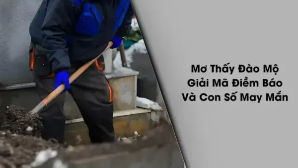 Giải Mã Giấc Mơ Nằm Mơ Thấy Đào Đất: Điềm Báo Gì Và Đánh Đề Con Số Mấy May Mắn?