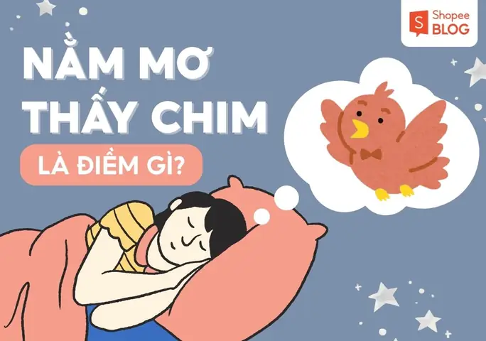 Nằm Mơ Thấy Mình Đi Bắn Chim Có Ý Nghĩa Gì Đối Với Cuộc Sống Thực Tại? Nằm Mơ Thấy Mình Đi Bắn Chim Có Ý Nghĩa Gì Đối Với Cuộc Sống Thực Tại?
