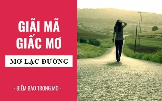 Nằm Mơ Thấy Đi Lạc Đường Là Điềm Báo Gì? Giải Mã Chi Tiết Lành Hay Dữ Và Con Số May Mắn