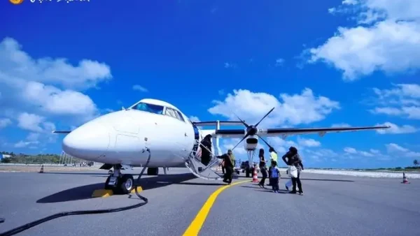Nằm Mơ Thấy Đi Máy Bay Là Điềm Báo Gì? Giải Mã Ý Nghĩa Lành Dữ Chi Tiết