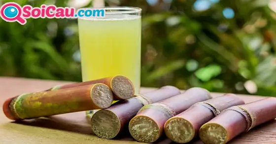 Giấc Mơ Thấy Đi Mua Mía Là Điềm Báo Tốt Hay Xấu Cho Tương Lai? Giấc Mơ Thấy Đi Mua Mía Là Điềm Báo Tốt Hay Xấu Cho Tương Lai?
