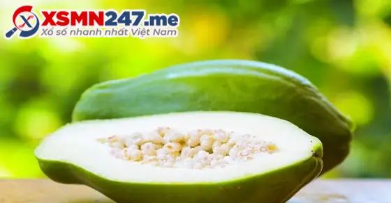 Cây Đu Đủ Trĩu Quả Mang Lại Điềm Báo May Mắn Tài Lộc Cây Đu Đủ Trĩu Quả Mang Lại Điềm Báo May Mắn Tài Lộc