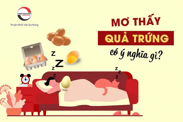Giải Mã Ý Nghĩa Giấc Mơ Thấy Gà Mái Đẻ Trứng Giải Mã Ý Nghĩa Giấc Mơ Thấy Gà Mái Đẻ Trứng