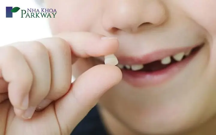 Giấc Mơ Gãy Răng Cửa Phản Ánh Những Lo Âu Và Căng Thẳng Giấc Mơ Gãy Răng Cửa Phản Ánh Những Lo Âu Và Căng Thẳng