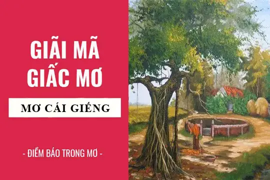Giải Mã Ý Nghĩa Điềm Báo Lành Hay Dữ Khi Nằm Mơ Thấy Cái Giếng