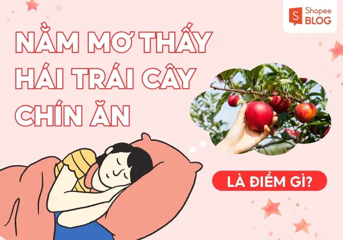 Bộ Số Đề May Mắn Chung Khi Mơ Thấy Hái Quả Chín Bộ Số Đề May Mắn Chung Khi Mơ Thấy Hái Quả Chín