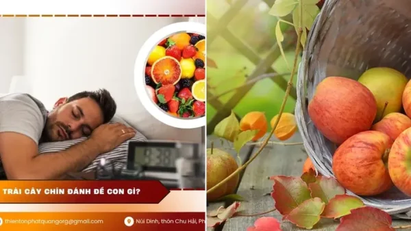 Nằm Mơ Thấy Hái Trái Cây Chín Đánh Số Gì? Giải Mã Giềm Báo Và Con Số May Mắn