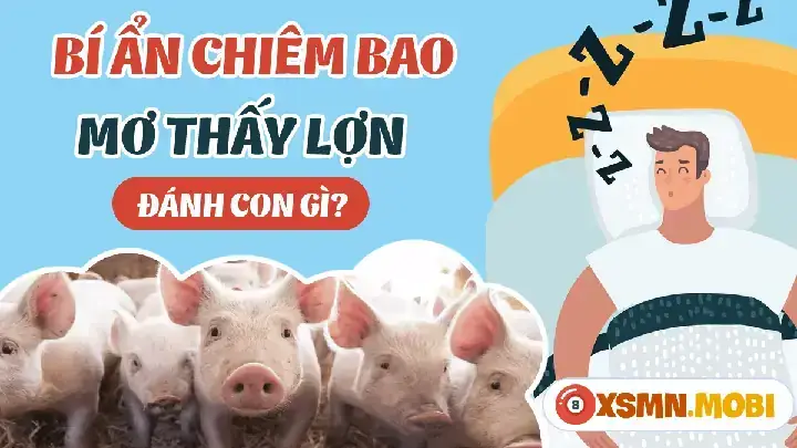 Nằm Mơ Thấy Heo Rượt Đuổi Điềm Gì? Giải Mã Giấc Mơ Và Đánh Con Số Mấy May Mắn