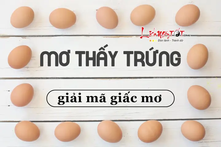 Nằm Mơ Thấy Lượm Trứng Vịt Đánh Số Mấy? Giải Mã Ý Nghĩa Điềm Báo May Mắn Nằm Mơ Thấy Lượm Trứng Vịt Đánh Số Mấy? Giải Mã Ý Nghĩa Điềm Báo May Mắn