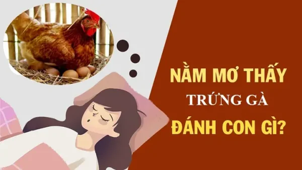 Nằm Mơ Thấy Lượm Trứng Vịt Đánh Số Mấy? Giải Mã Ý Nghĩa Điềm Báo May Mắn