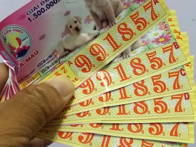 Nằm Mơ Thấy Mình Trúng Lô Đánh Con Gì? Giải Mã Giấc Mơ Và Con Số May Mắn