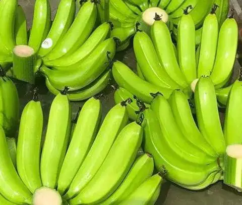 Những Sai Lầm Thường Gặp Khi Áp Dụng Con Số Lô Đề Từ Giấc Mơ Là Gì?