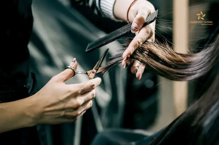 Trường Hợp Cụ Thể Khi Người Khác Cắt Tóc Và Ý Nghĩa Tương Ứng