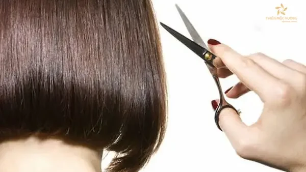 Nằm Mơ Thấy Người Khác Cắt Tóc Mình Là Điềm Gì, Đánh Con Số Mấy?