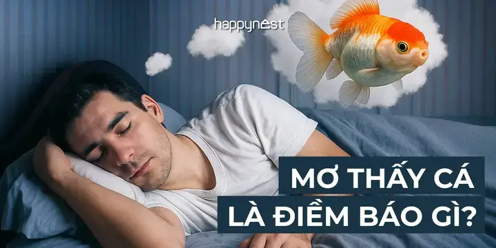 Nằm Mơ Thấy Người Khác Câu Được Cá To Là Điềm Lành Hay Điềm Dữ? Nằm Mơ Thấy Người Khác Câu Được Cá To Là Điềm Lành Hay Điềm Dữ?