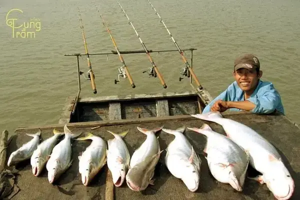 Ý Nghĩa Của Giấc Mơ Thấy Người Khác Câu Được Cá To Trong Các Tình Huống Cụ Thể Khác Nhau Ý Nghĩa Của Giấc Mơ Thấy Người Khác Câu Được Cá To Trong Các Tình Huống Cụ Thể Khác Nhau