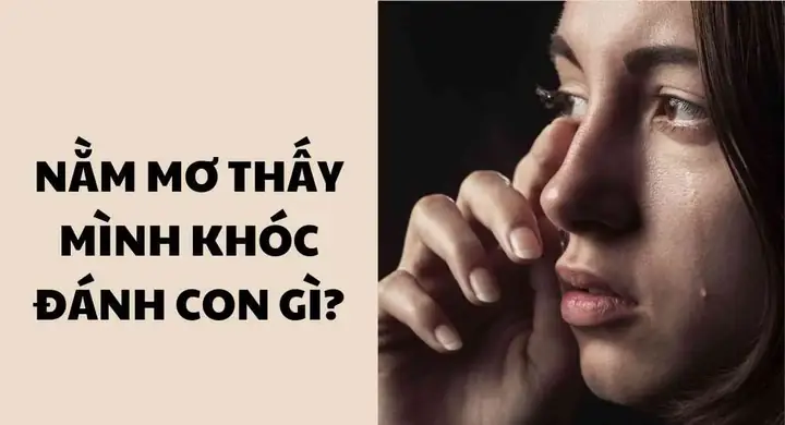 Chiêm Bao Thấy Người Khác Khóc Đánh Con Số Gì Dễ Trúng?
