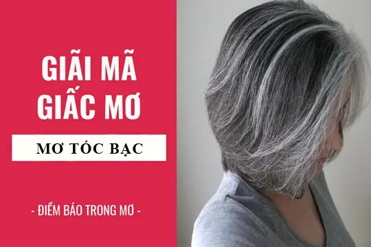 Mơ Thấy Tóc Bạc Của Người Khác Nhưng Không Nhổ Thì Điềm Báo Gì? Mơ Thấy Tóc Bạc Của Người Khác Nhưng Không Nhổ Thì Điềm Báo Gì?