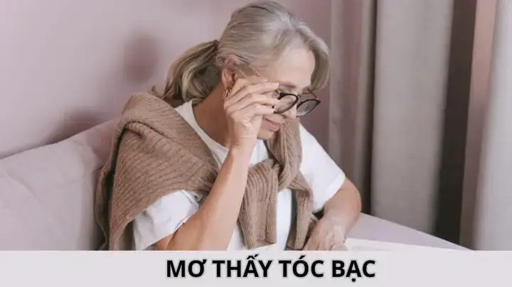 Hành Động Người Khác Nhổ Tóc Bạc Cho Mình Phản Ánh Điều Gì Về Tâm Lý? Hành Động Người Khác Nhổ Tóc Bạc Cho Mình Phản Ánh Điều Gì Về Tâm Lý?